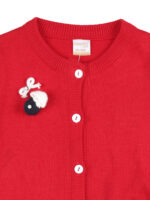 Boy’s Full sleeve Sweater