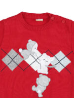 Boy’s Full sleeve Sweater