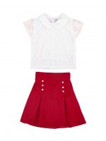 Girl’s Skirt & Top Clothing Set
